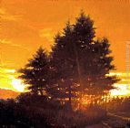 Tree Canvas Paintings - Sunset Tree